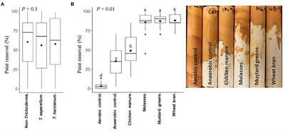 Synergy of Anaerobic Soil Disinfestation and Trichoderma spp. in Rhizoctonia Root Rot Suppression